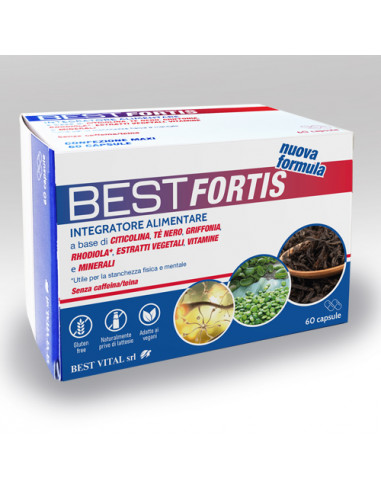 BEST FORTIS