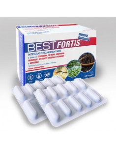 BEST FORTIS 2