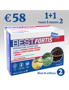 Promozione Best Fortis